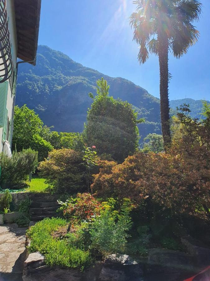 Apartmán La Pergola Avegno Exteriér fotografie